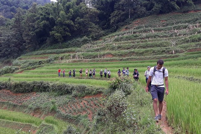1-day Authentik trek & Panorama valley views - Value check: is $56.42 worth it?