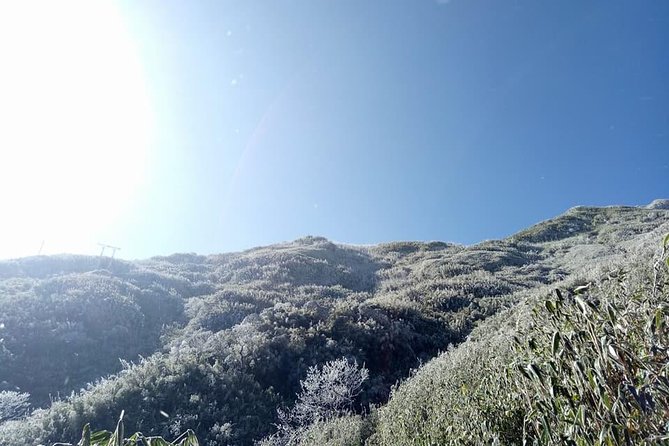 1 day Fansipan Trekking - Fansipan in One Day: What You’re Really Signing Up For