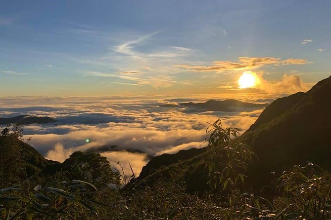 1 day Fansipan Trekking - Getting Down: Cable Car Ticket or Retrace Your Steps