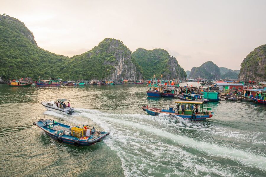 1 Day Ha Noi - Cat Ba island - Lan Ha Bay - Ha Long Bay - The guide makes the day: when Ryan is on your trip