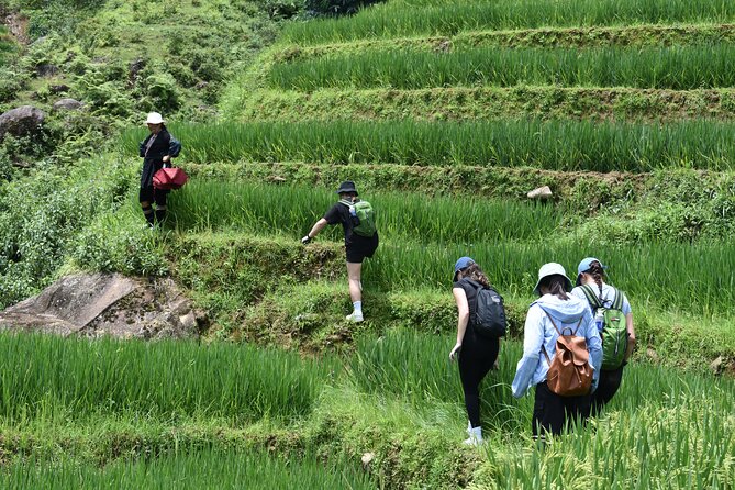 1-Day Private Trekking in Sapa through Terraces Rice Fields - Stop 3: Ta Van village for H’mong, Red Dao, and Giay culture