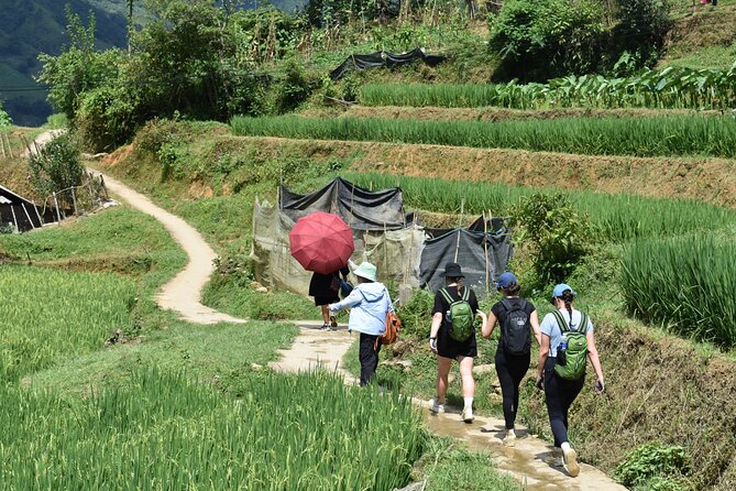 1-Day Private Trekking in Sapa through Terraces Rice Fields - The day’s pacing: 6–7 hours, photo time, and the guide vibe