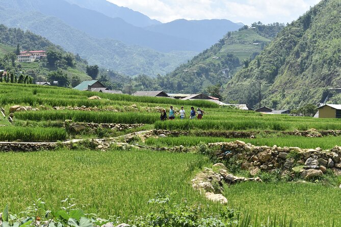 1-Day Private Trekking in Sapa through Terraces Rice Fields - Lunch and small comforts: what’s included (and what to bring)