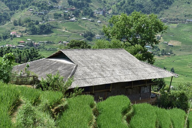 1-Day Private Trekking in Sapa through Terraces Rice Fields - Price and logistics: how to judge the value for Sapa