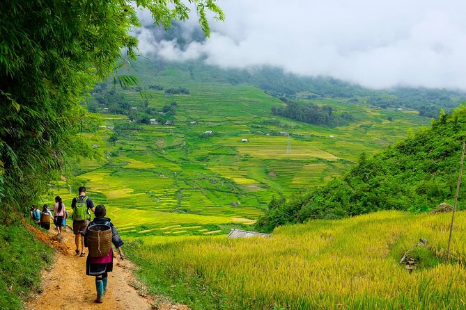1 Day Sapa Authentic Trekking ( off beaten track ) - Starting at 9:00 am: pine forest first, then village valleys