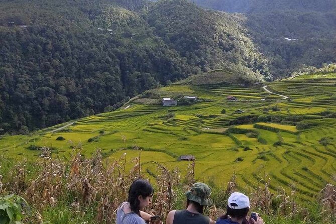1 Day Sapa Authentic Trekking ( off beaten track ) - Small-group feel and village time: what private really means here