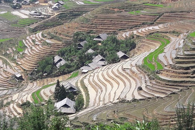1 Day Sapa Authentic Trekking ( off beaten track ) - Guide style in Sapa: Mr Sinh and Ms Mu keep it friendly and useful