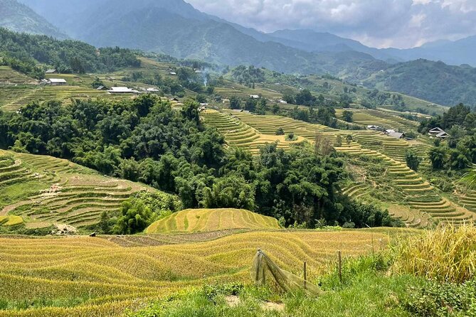1 Day Sapa Authentic Trekking ( off beaten track ) - Price and logistics: why $39 is good value when lunch is included