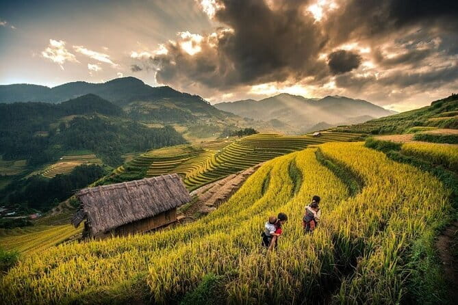 1 Day Sapa Tour Explore Y Linh Ho And Lao Chai And Ta Van Village - Getting to the Trail: Pickup, Timing, and What 8am Feels Like