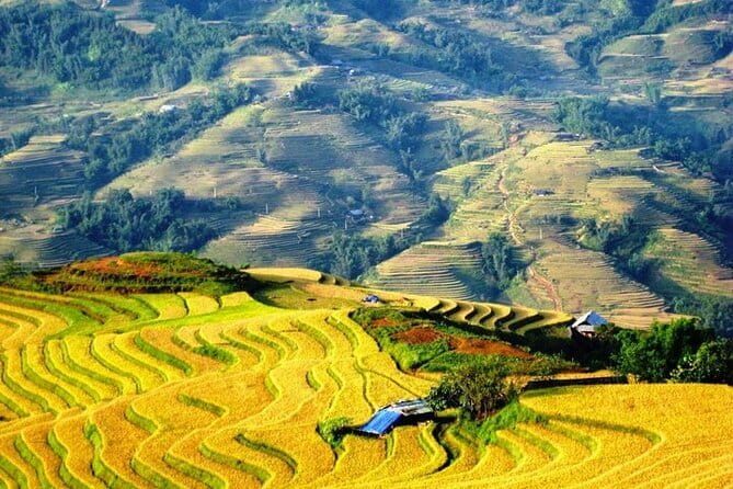 1 Day Sapa Tour Explore Y Linh Ho And Lao Chai And Ta Van Village - How Pang’s English Guidance Changes the Day
