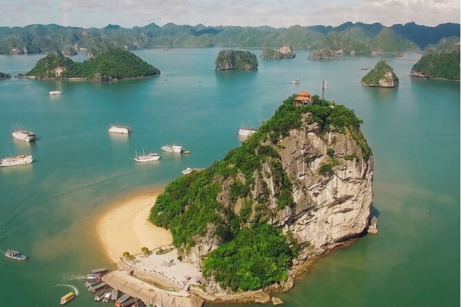 1 Day Tour to Halong Bay Cruise from 3 - 5 star Cruise & Transfer - Sung Sot Cave: The Signature Limestone Experience