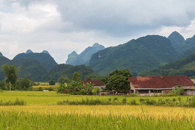 12 Days in Vietnam | Cultural Exploration with Beach Escapes - Ba Na Hills and Fantasy Park: Cable Car Big Day, Indoor Energy