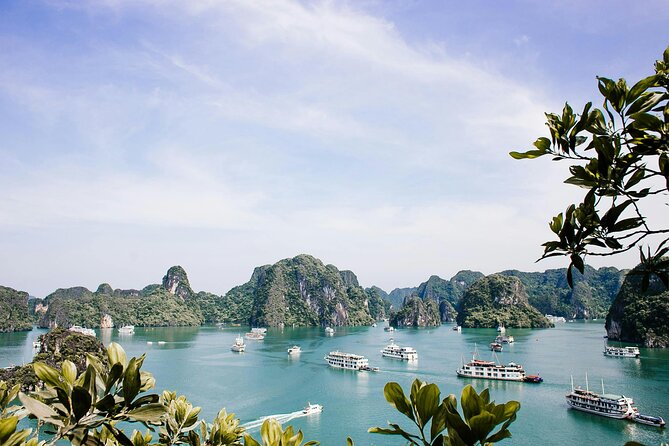 12 Days Vietnam Tour Package - Halong Bay by cruise: sunrise Tai Chi and time on the water