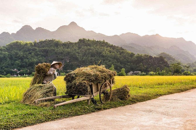 14 days Vietnam bicycling tour - Halong Bay transfer and cruise: cave, floating village, and kayaking
