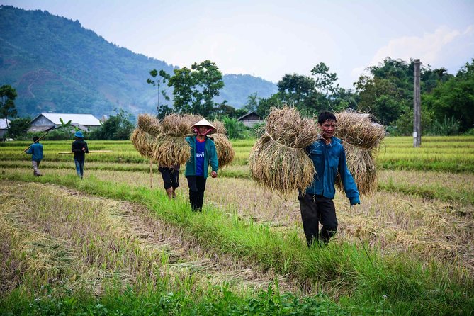 14 days Vietnam bicycling tour - Hue on two wheels: Thien Mu, the imperial inner city, and emperor tombs