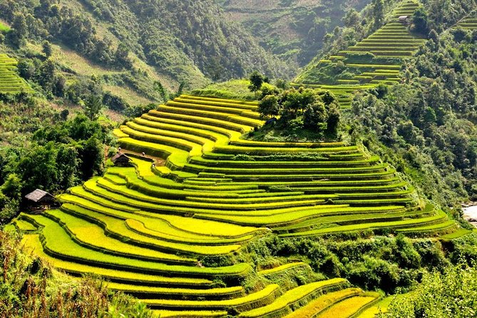 15-Day Majestic Vietnam FULL Package - 68% OFF + Bonuses - Hanoi Old Quarter to Sapa: A Smart Route for Views and Culture