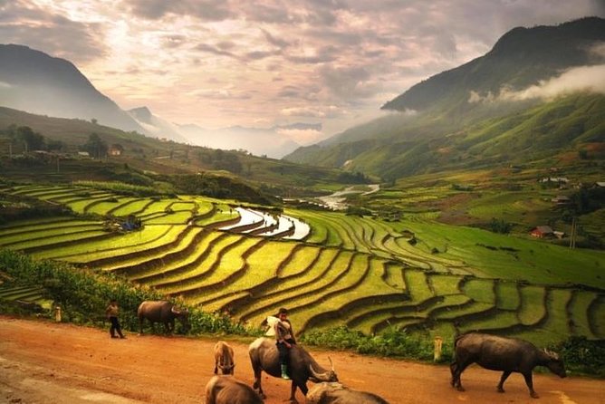 15-Day Majestic Vietnam FULL Package - 68% OFF + Bonuses - Hue Travel Day and the Imperial City Setup
