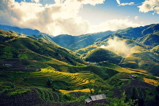 15-Day Tour to Explore Vietnam - Hue Day Tour by Motorcycle-Style Touring: Markets, Countryside, and Local Stops