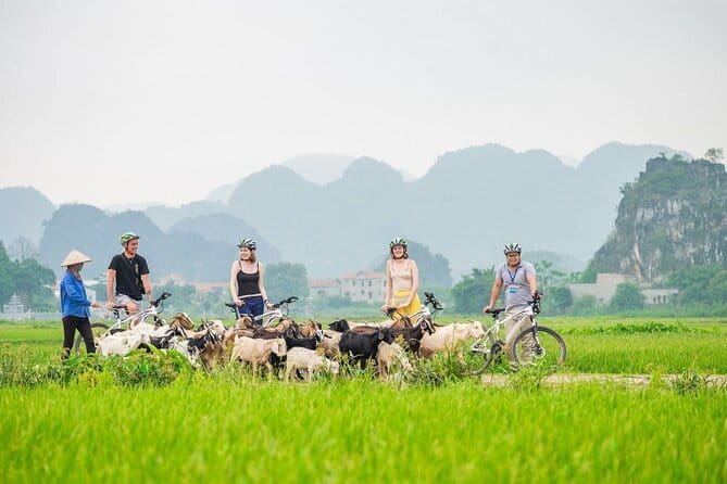 17-Day Vietnam Tour | Explore the Best Highlights of Vietnam - Ninh Binh classics: Bai Dinh, Trang An caves, and Mua Cave’s 500 steps