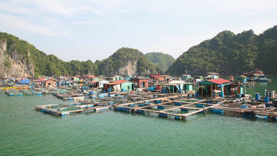 2-Day Ha Long Bay Cruise with Activities - Logistics you should plan around (without overthinking it)