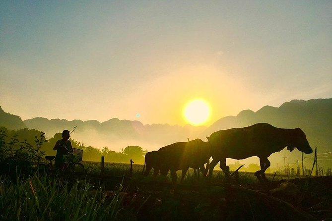 2-Day Mai Chau Valley Tour from Hanoi - Day 1: Hanoi to Mai Chau, Then an Evening in the Valley