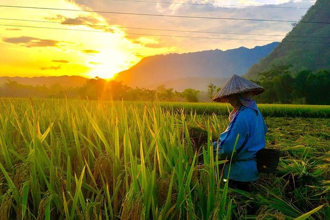 2-Day Mai Chau Valley Tour from Hanoi - Food, Rice Wine, and a Dance Performance That Feels Like a Moment