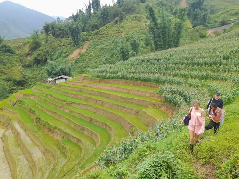 2-Day Sa Pa Ethnic Homestay Tour & Trek with Limousine Bus - The bottom line: should you book?