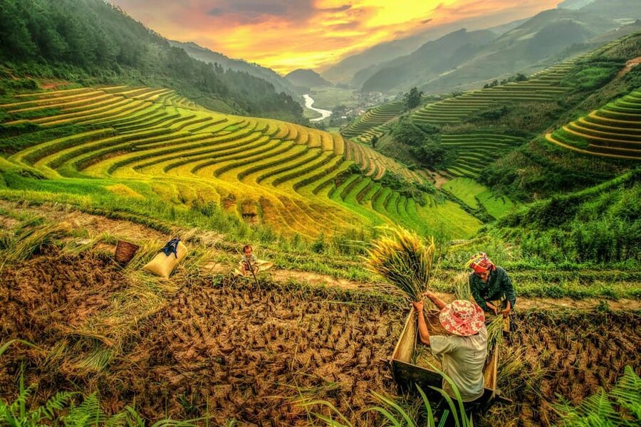 2-Day Sapa Tour - Overnight in Ta Van Village (All in One) - Day 2: the medium trek to Giang Ta Chai and that bridge-and-panorama moment