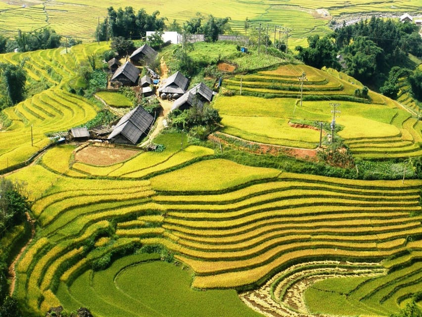 2-Day Sapa Tour - Overnight in Ta Van Village (All in One) - Back to Sapa Town and onto Hanoi: how your afternoon and evening play out