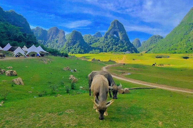 2 Day Tour in Ban Gioc Waterfalls from Hanoi - The boat excursion: why it changes everything