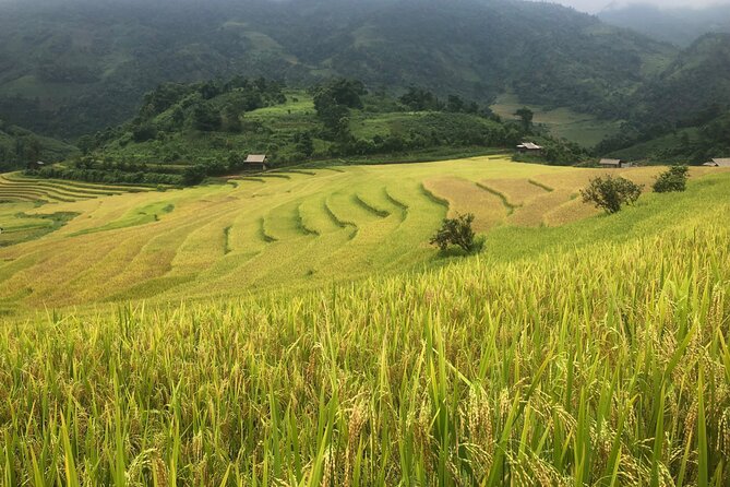 2 Day Trekking Experience: Explore with knowledgeable local guide - Day 1 in Muong Hoa Valley: The 16km Walk and Night at the Home Base