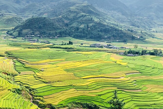 2-Day Trekking in Sa Pa from Ha Noi by sleeping bus - Day 2: Bamboo forest, Red Dao village customs, and Su Pan views