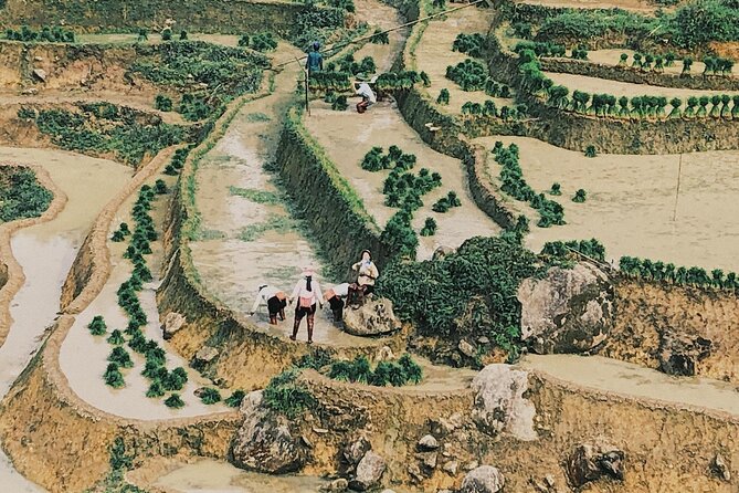 2-Day Trekking in Sa Pa from Ha Noi by sleeping bus - Included meals, bottled water, and what you’ll still want to plan for
