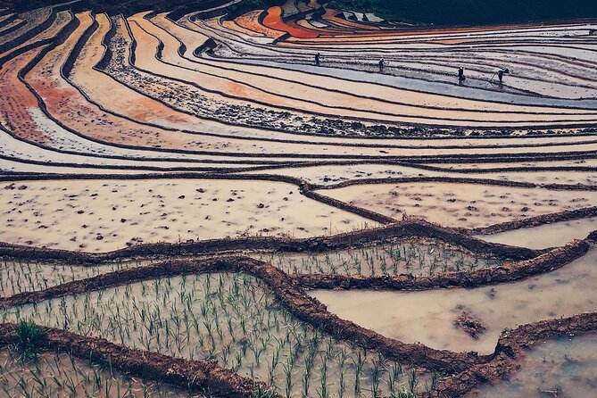 2-Day Trekking in Sa Pa from Ha Noi by sleeping bus - Price and value: is $89 worth it for a Hanoi-to-Sapa trek?