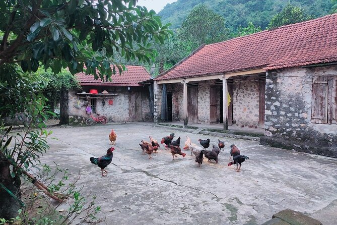 2 Days 1 Night Luxury Ninh Binh Private Tour from Hanoi - Morning on bikes: Van Lam Village market and culture time