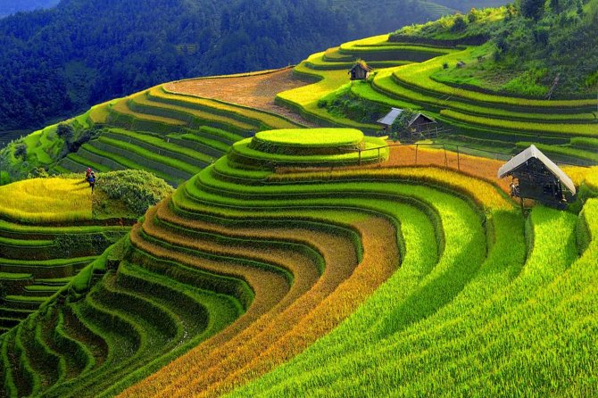 2 Days 1 night Sapa Tour from Hanoi by Limousine/Sleeper bus - Price and Logistics: Getting Your Money’s Worth at $149.99
