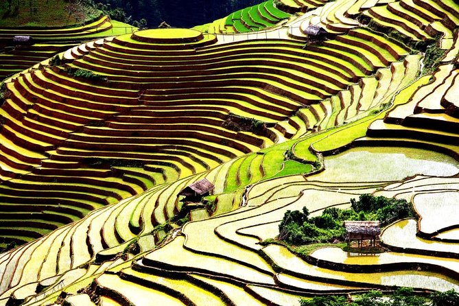 2 days 3 Nights Sapa Trekking Tour by Night Train from Hanoi - Day 3 Lao Chai and Ta Van: Black Hmong, Dzao/Dzay Groups, and a Village Lunch
