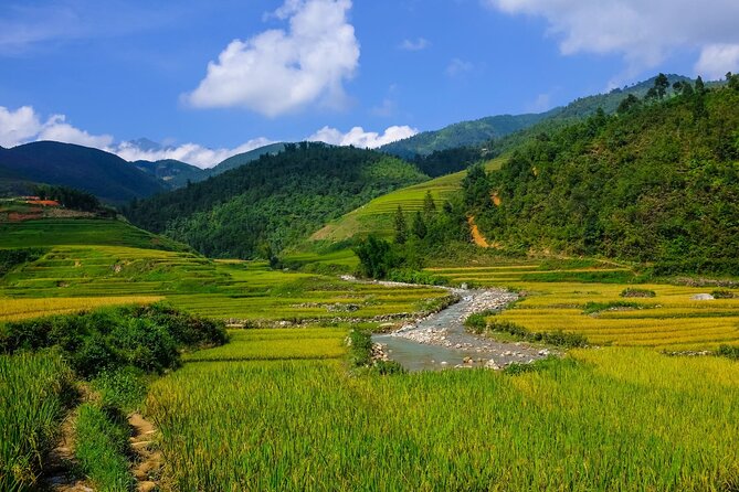 2 days authentic trekking tour in Sapa ( Homestay - Less touristy ) - Day 1: Ta Phin Village and the pine-forest descent