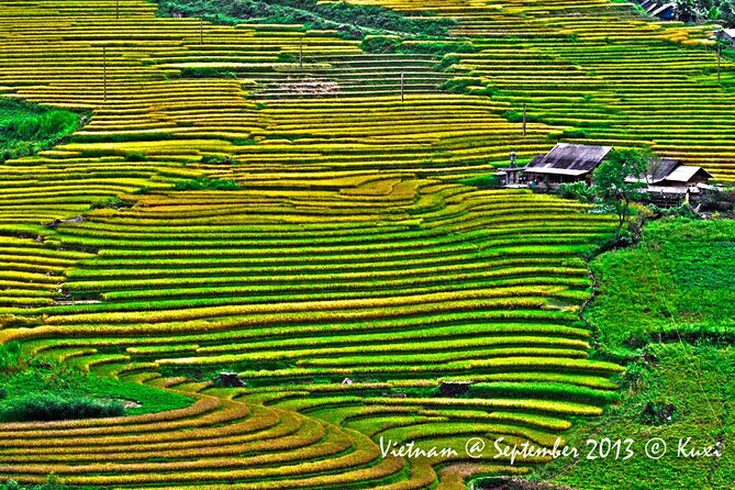 2 days authentic trekking tour in Sapa ( Homestay - Less touristy ) - Your guide can make or break the trek