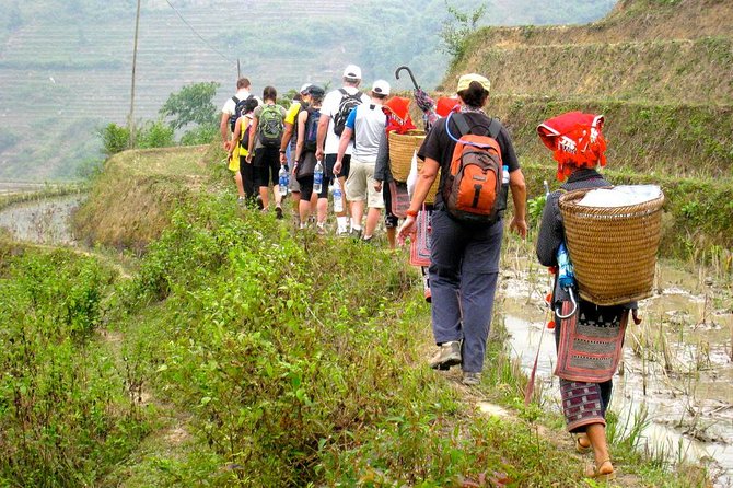 2 Days Homestay: Great Tour with Various Options - Hanoi start vs Sapa start: meals and transfers that change the experience