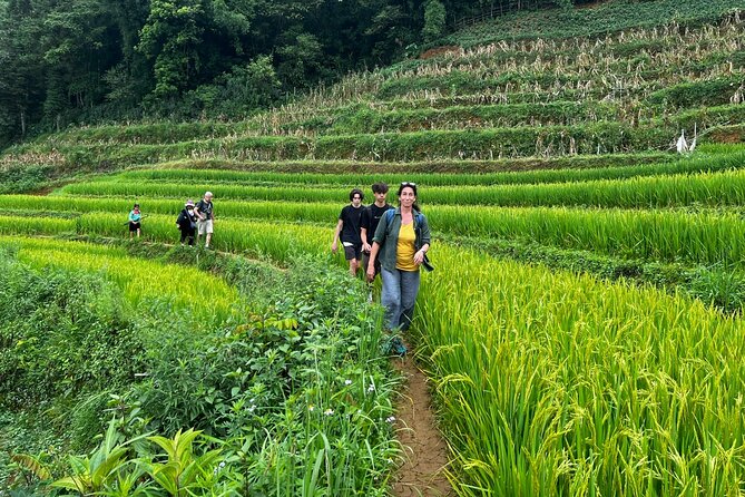 2 days private Wildland Trek in Sapa - Sa Xeng Village: hearing about Hmong and Red Dao cultural life