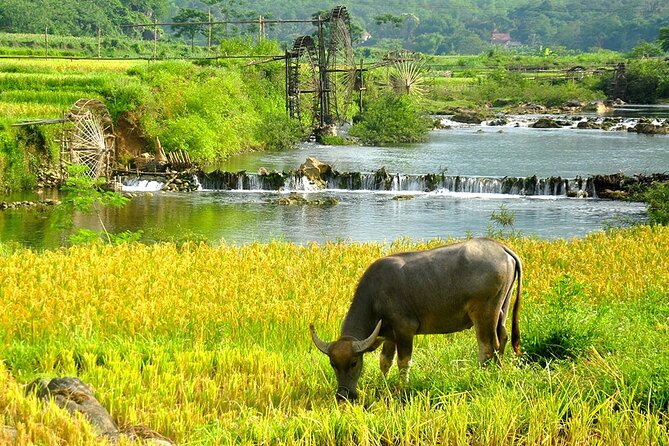 2 Days Pu Luong Offbeat Trekking Best for Mountain Lovers - Don village and the Gateway Inn stilt-house stay