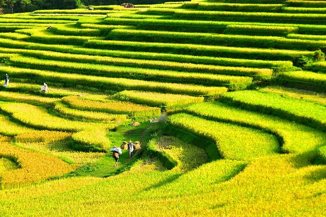 2 Days Pu Luong Offbeat Trekking Best for Mountain Lovers - Guides you can actually talk to: Quốc and Lee as examples