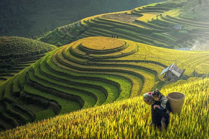 2-Night Sapa Tour with Fansipan Peak by Bus from Hanoi - Hanoi to Sapa by sleeping bus: why the timing works