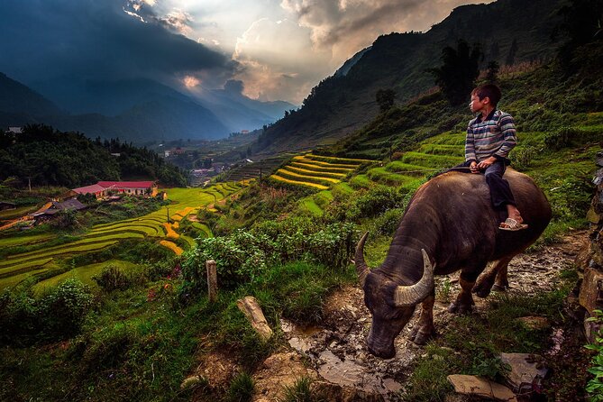 2D1N Buffalo trek by Hmong Sister House and Trekking - Starting point and pickup: the day begins at Hmong Sister House