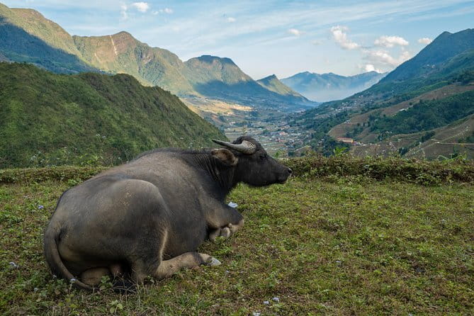 3 Day 2 Night Trek - Homestay nights in Dzay and Tay villages: the part you’ll talk about later