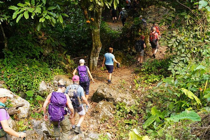 3-Day Ba Be National Park Discovery Tour from Hanoi - Day 3: Ba Be Lake cruise and Puong Grotto caves (the bat colony stop)