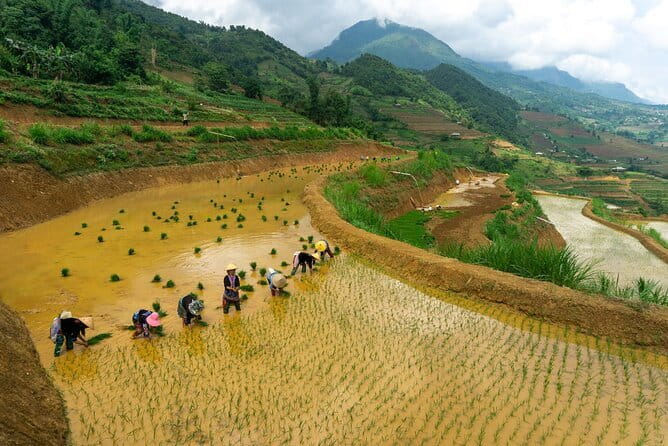 3-Day Sapa Trek, visit Fansipan (cable car) from Hanoi with local - Meals, water, and the honest reality of your Sapa hotel night