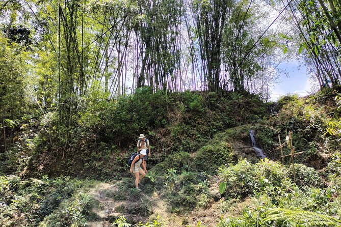 3-Day Trek in Amazing Muong Hoa Valley & ethnic Homestay - Why Muong Hoa Valley is better than a standard Sapa day trip