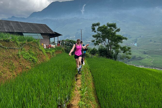 3-Day Trek in Amazing Muong Hoa Valley & ethnic Homestay - Day 2: Ta Van, bamboo forest trails, and the Red Dzao at Giang Ta Chai